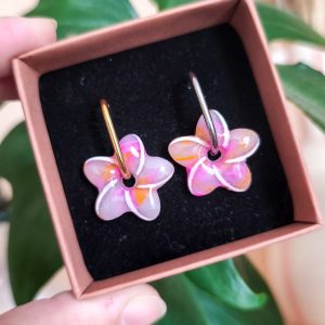 Pampilles tipanie bicolore